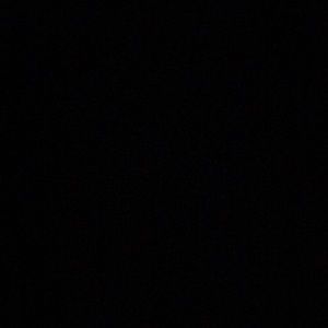 Meet your Posher, Bailey